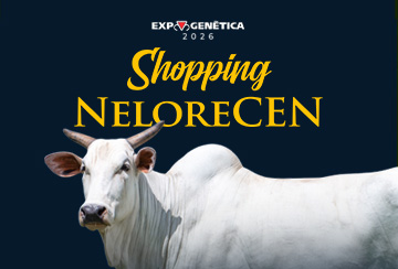 SHOPPING NELORECEN - EXPOGENÉTICA  (DE 16 A 22 DE AGOSTO)